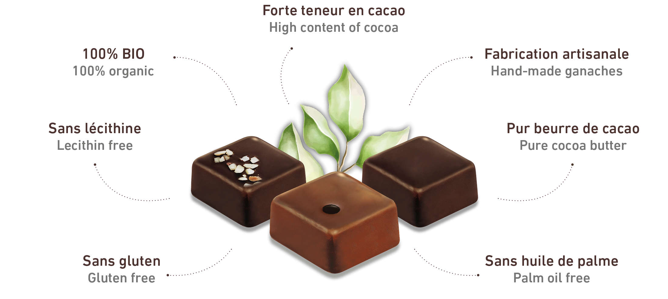 chocolat_exception_pauline_2